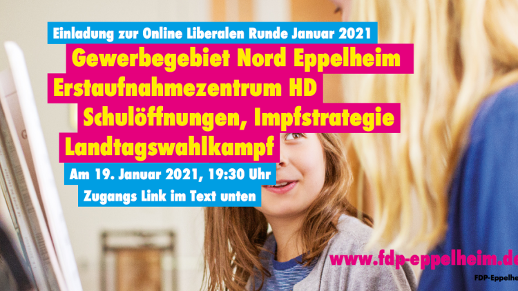 Themen der Liberalen Runde Januar 2021; Gewerbegebiet Nord, Ankunftszentrum Heidelberg, Impfstrategie, Schulöffnungen, Landtagswahlkampf